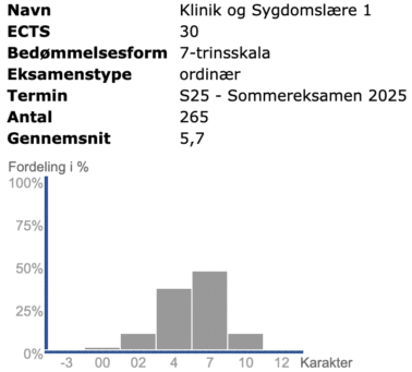 7. semester Forår 2025